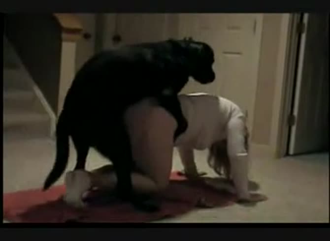 Video :Black dog fucking a sexy babe in doggystyle position
